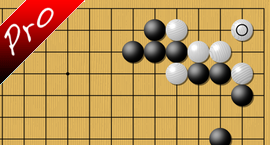 baduk To ko or not to ko