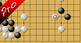 baduk An upset in Vienna