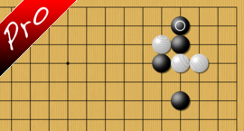 baduk Dinerchtein's new joseki