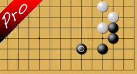 weiqi Pavlov doggy